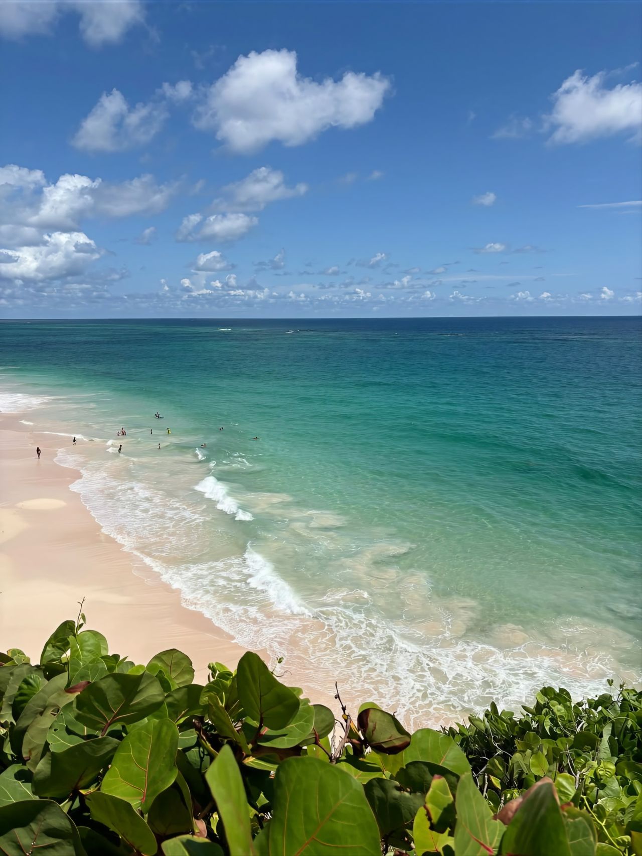 Crane Beach